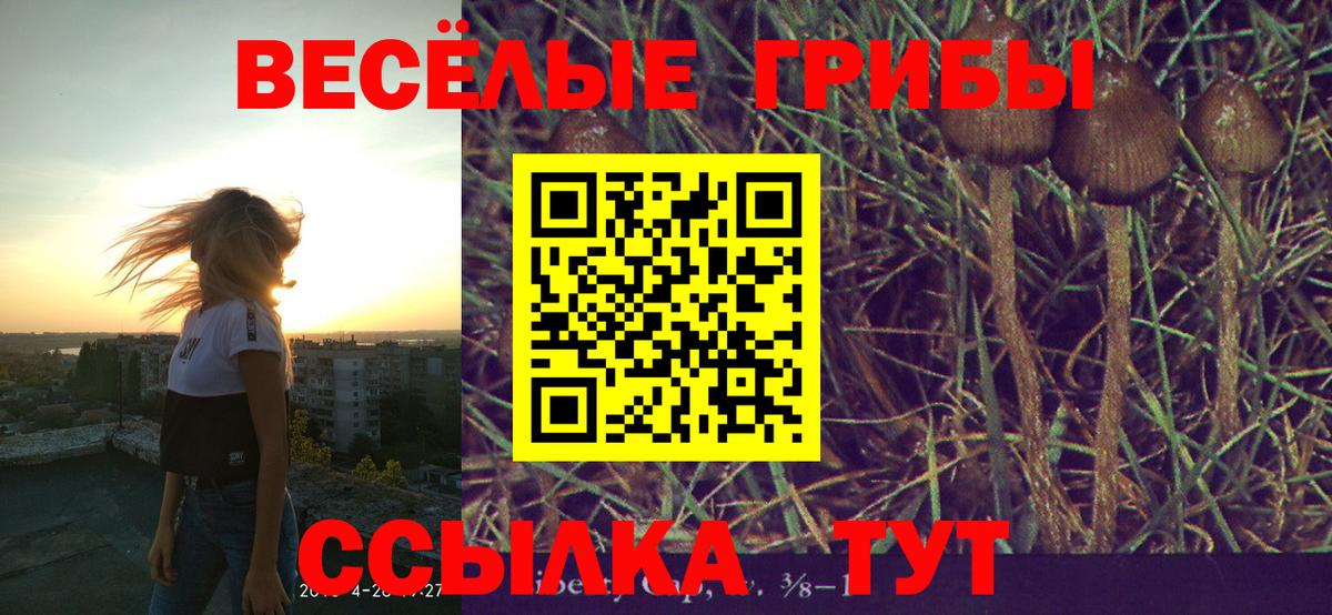 Красноперекопск  Псилоцибиновые грибы прущие грибы  Вход с VPN  Псилоцибиновые грибы прущие грибы 